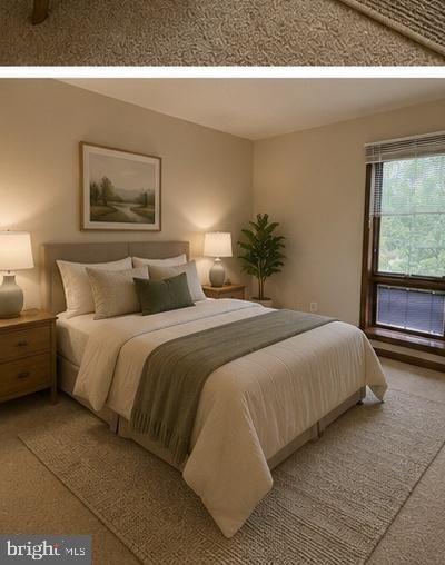 23244 Chestnut Oak Ct - Photo 4 of 10