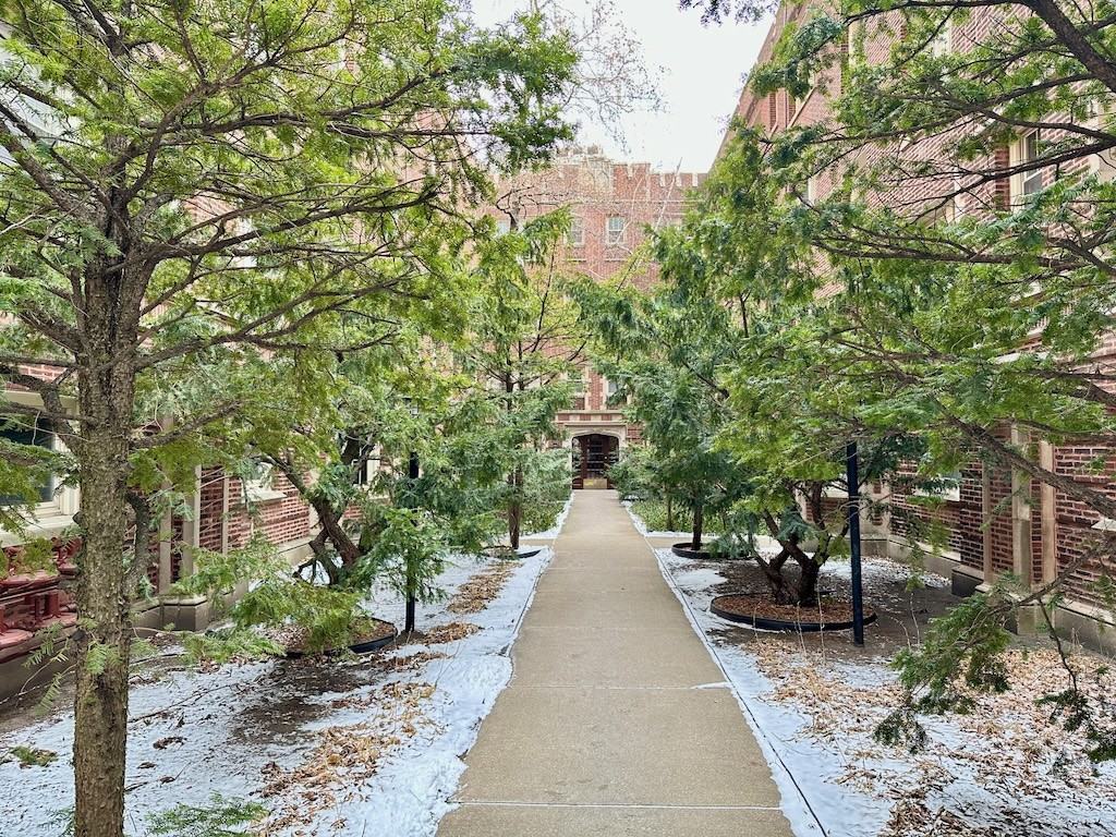 521 W Brompton Ave #319