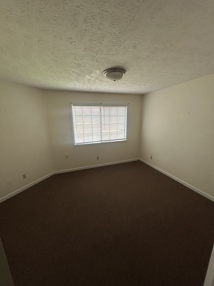 392 Shelby Avenue - Photo 6 of 16