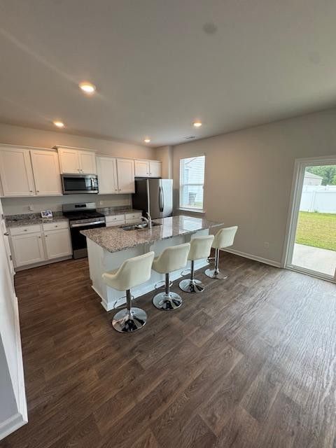 204 Wild Strawberry Ln - Photo 3 of 11
