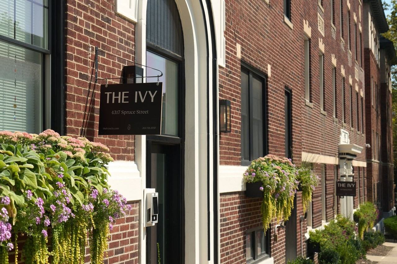 The Ivy - Photo 4 of 50
