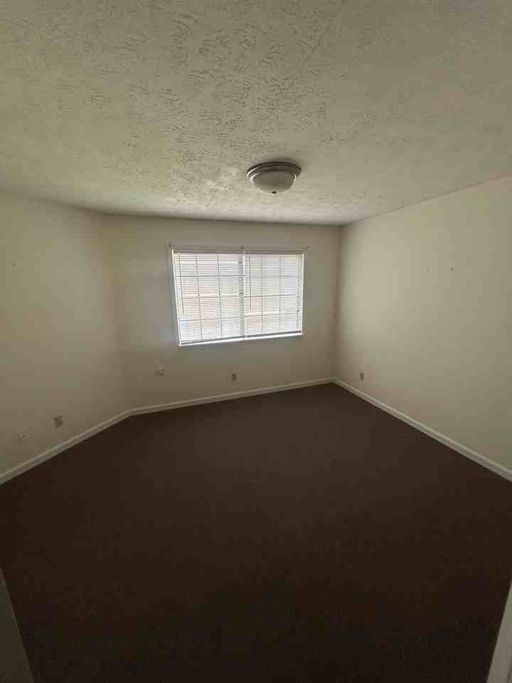 392 Shelby Avenue-13 #13 - Photo 2 of 4