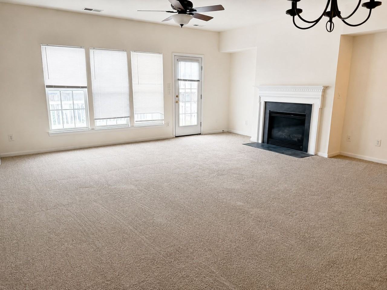 913 Tiger Ln #1 - Photo 5 of 20