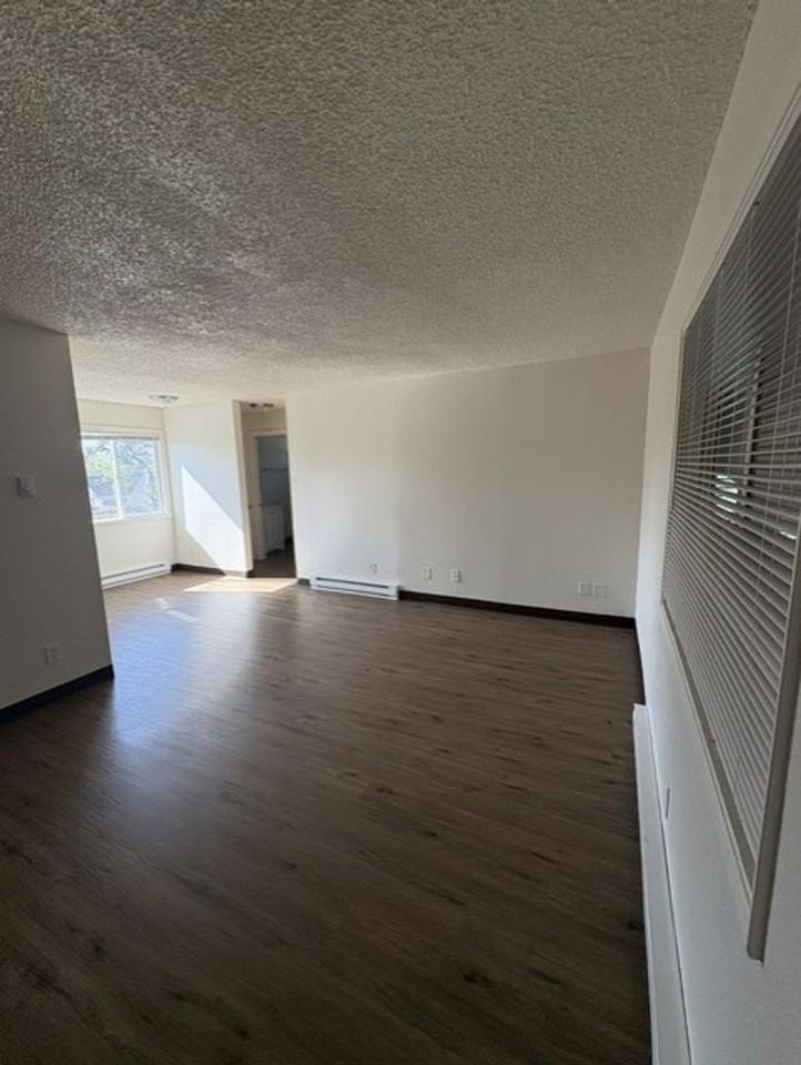 Enjoy Half Off May's Rent in a Prime Location! - Photo 6 of 40