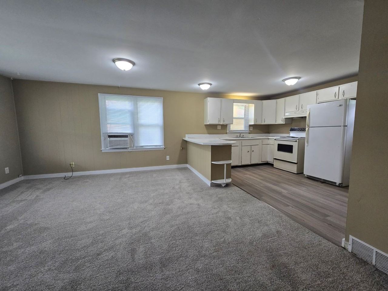 715 Hale St - Photo 5 of 11
