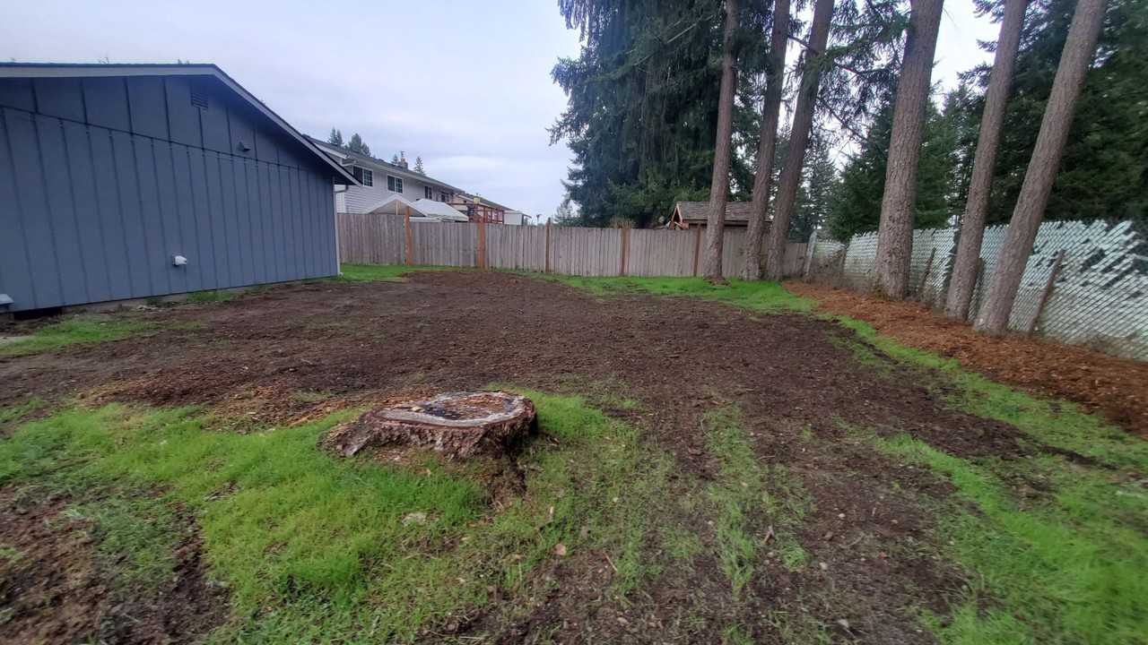 15417 25th Ave E - Photo 6 of 27