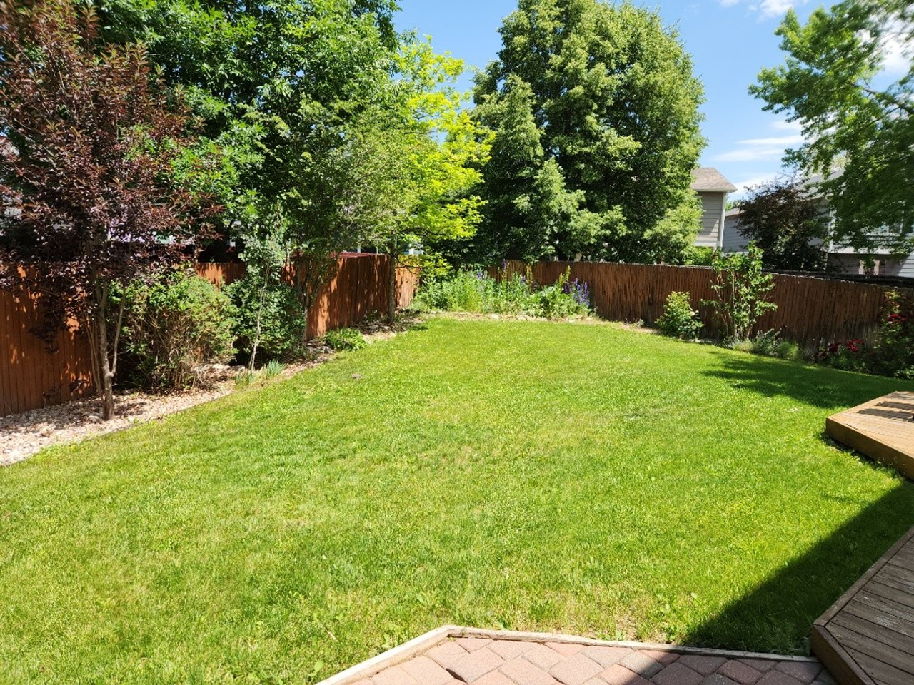 903 Jasmine Pl - Photo 5 of 37