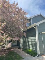 1007 Tierra Ln ## C2 - Photo 1 of 1