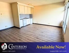 1313 Lincoln St #304 - Photo 1 of 1
