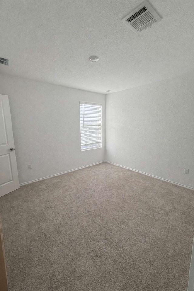 23408 Tiny Moons Way - Photo 2 of 11