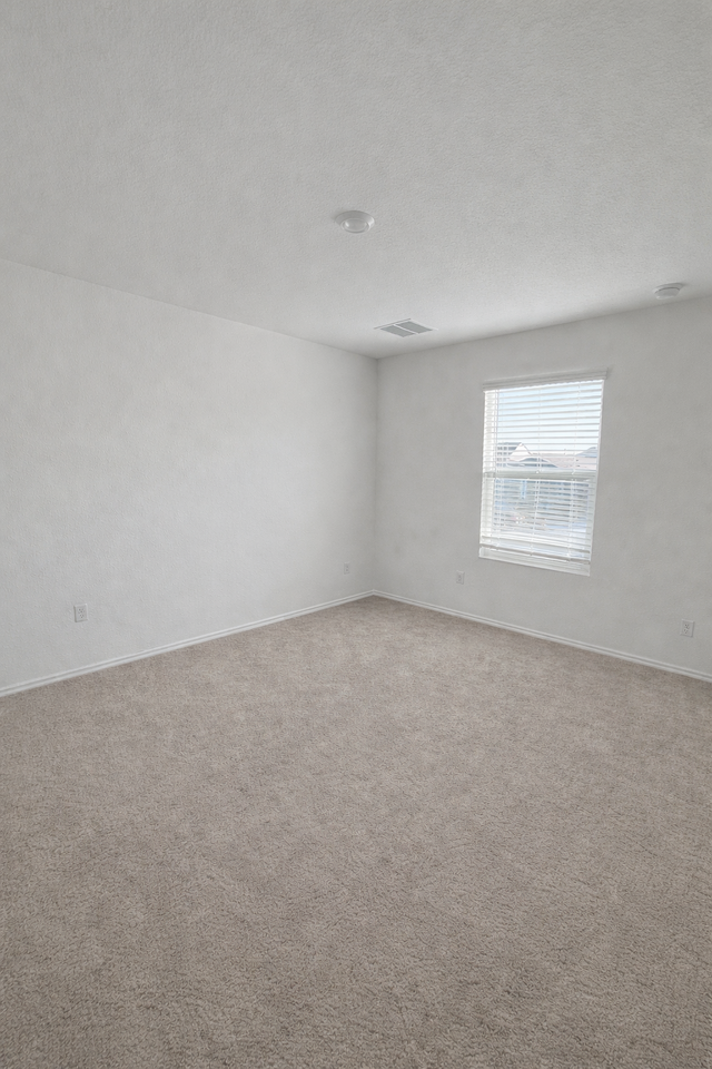 23408 Tiny Moons Way - Photo 3 of 11