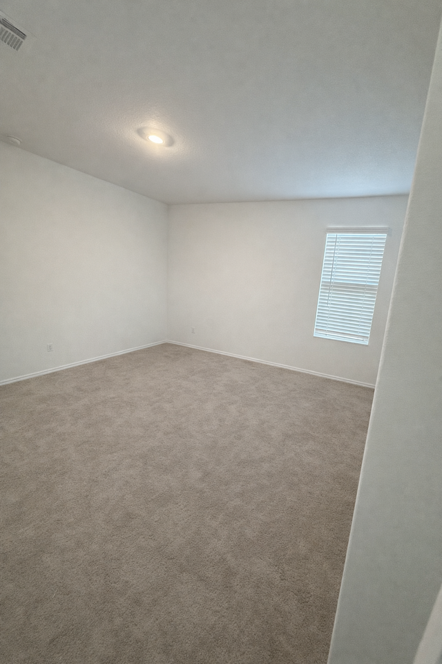 23408 Tiny Moons Way - Photo 4 of 11