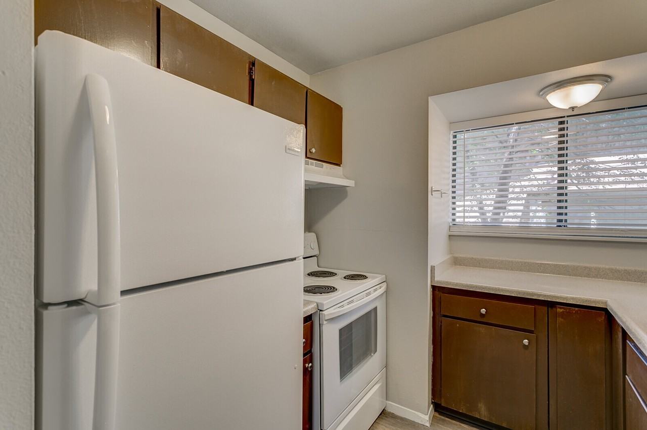 1140 Holli Springs Ln #D - Photo 3 of 50