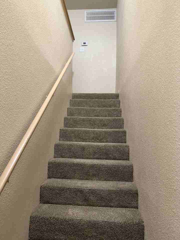 Bellaire Silk Apartments - Photo 7 of 50