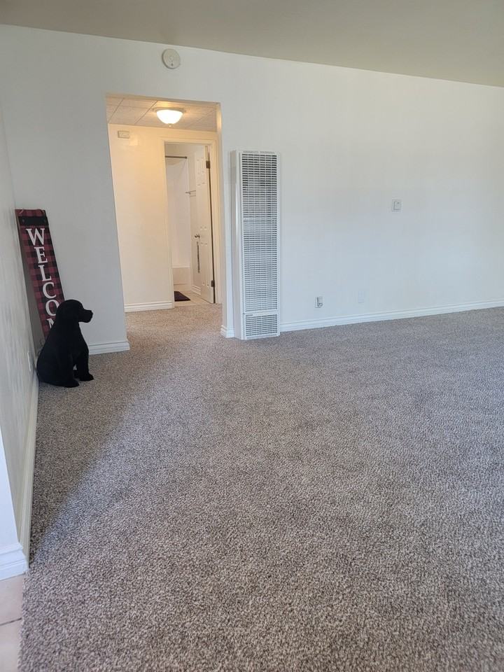 10670 Ohio St #A - Photo 5 of 16