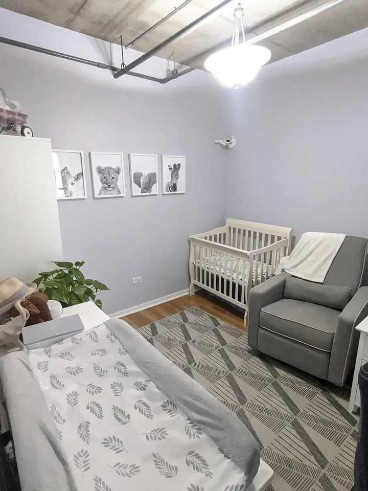 700 W Van Buren St #1009 - Photo 2 of 10