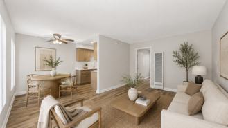 elm830 - Photo 1 of 1