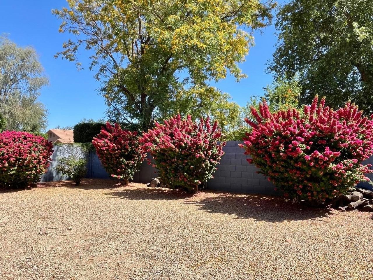 8175 W Marco Polo Rd - Photo 2 of 19