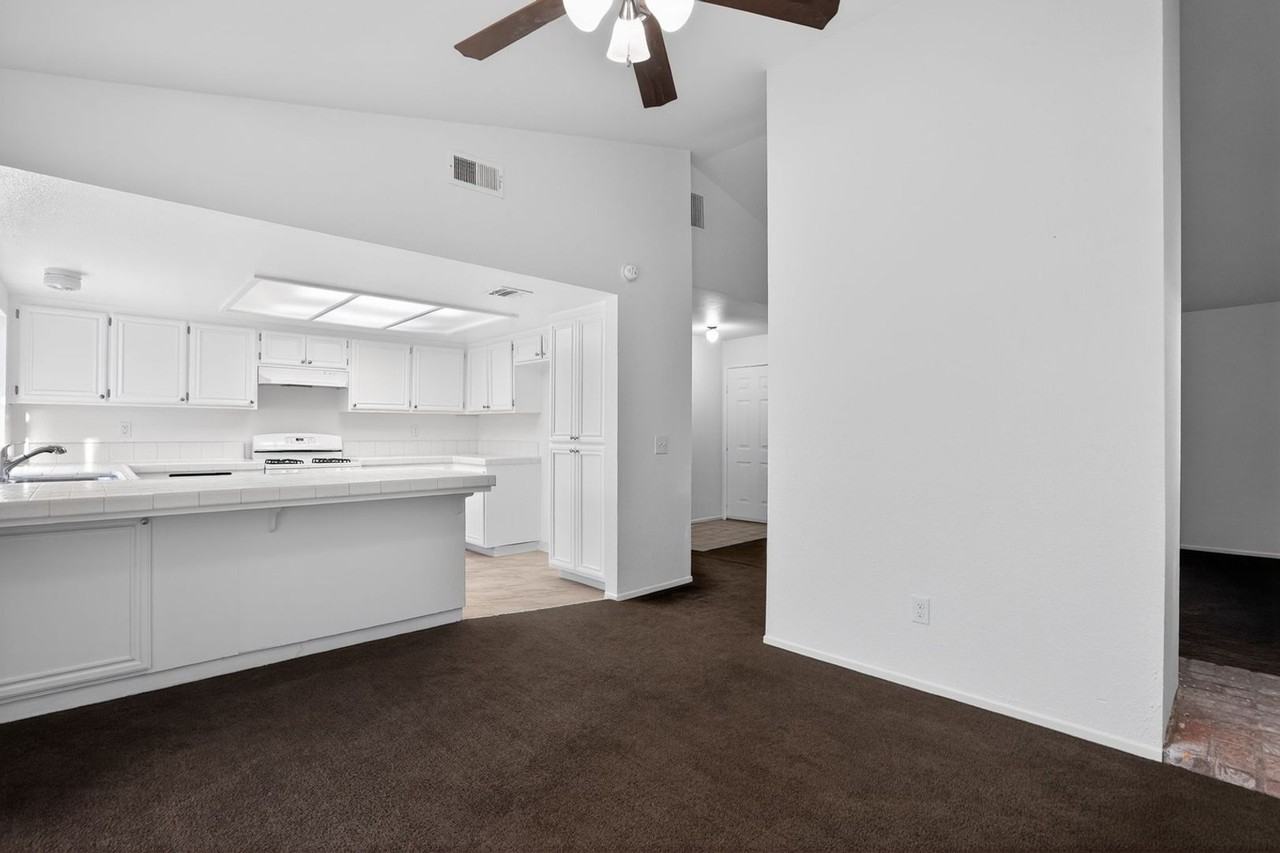 705 Desert Calico Dr - Photo 6 of 23