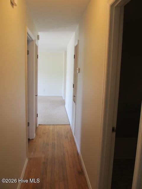 306 Greenview Dr - Photo 7 of 15