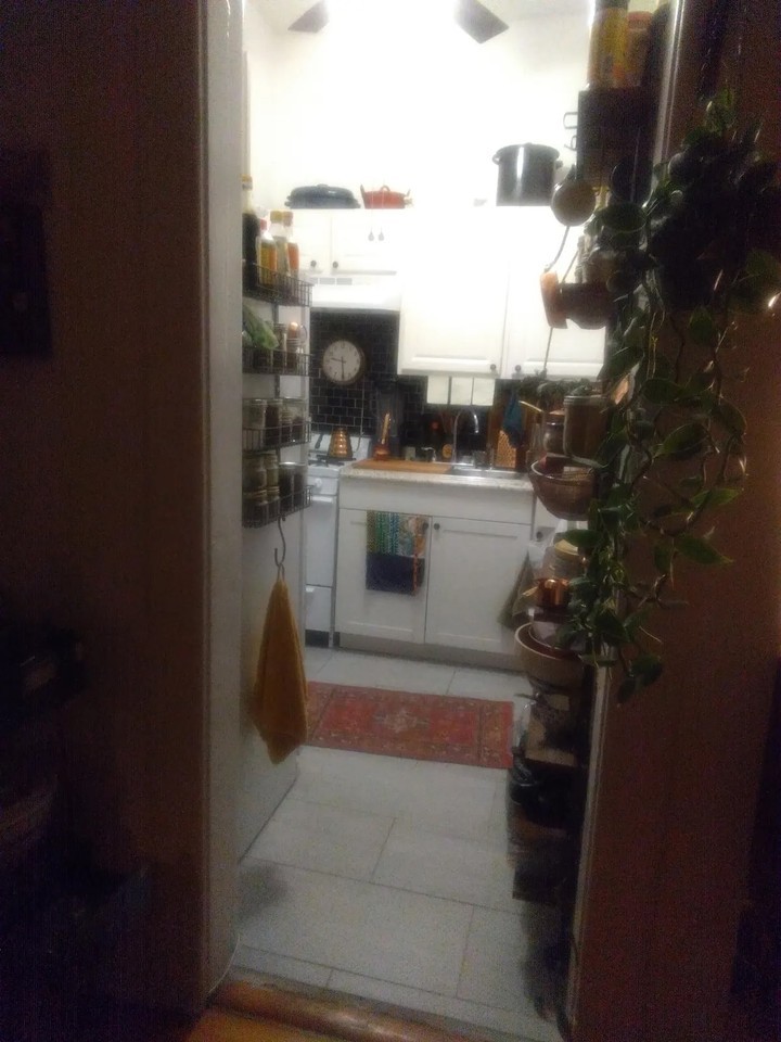 4620 St Charles - Photo 6 of 11