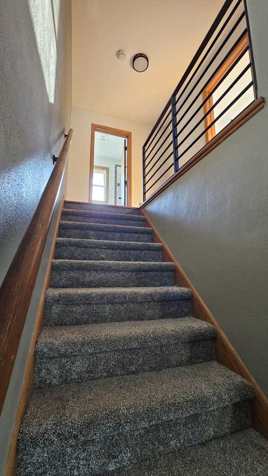 1811 Carl St #NA - Photo 7 of 16