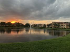 featured image of 181 Sw Palm Dr #203