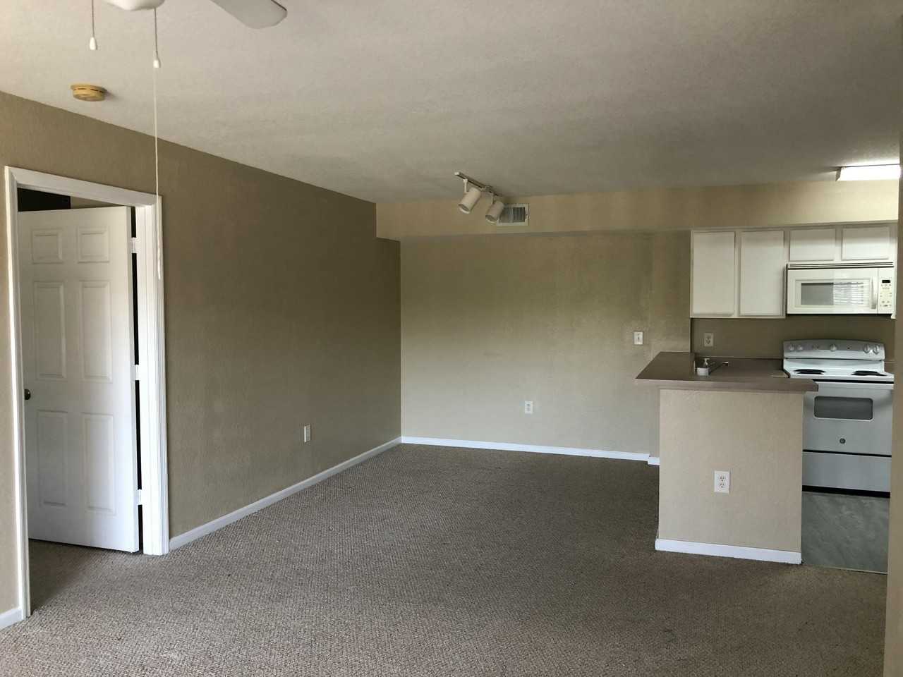 181 Sw Palm Dr #203 - Photo 4 of 24