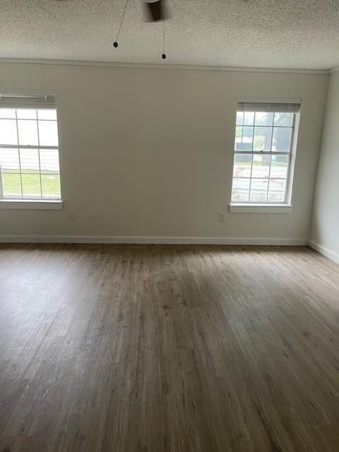206 Van Zandt St - Photo 7 of 14