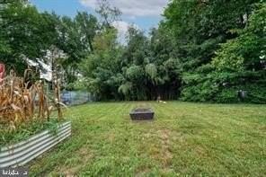 924 Veirs Mill Rd - Photo 2 of 13