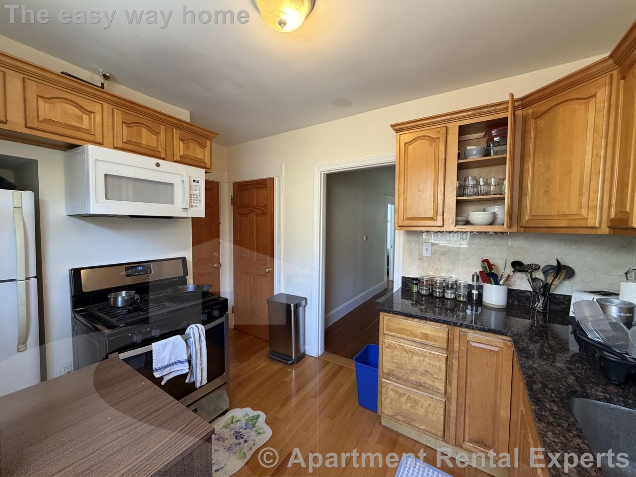 33 Magnus Ave #3