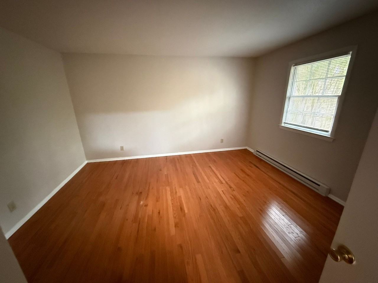 Adorable 1 Bed 1 Bath Apartment with hardwood floors! Washer/Dryer included! - Photo 7 of 49