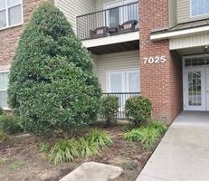 featured image of 7025 Hanesbrook Cir Apt 101