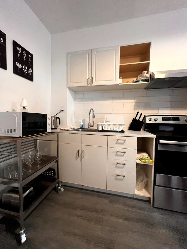 191A Parliament St #1513105P - Photo 4 of 6