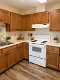 Goldenwood - Photo 1 of 1