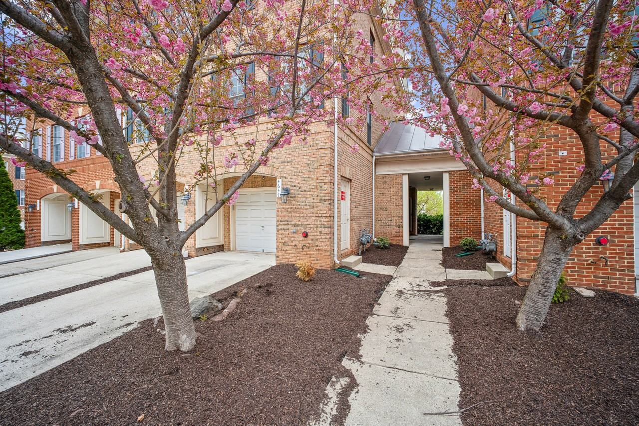 4647 Red Admiral Way #1 - Photo 2 of 50
