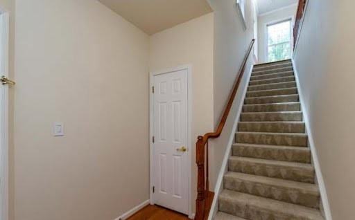 4647 Red Admiral Way #1 - Photo 6 of 50