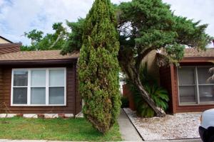 featured image of 1561 Arcadia Dr
