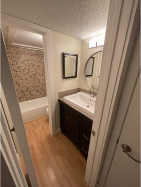 6910 Hart Ln #311 - Photo 5 of 10