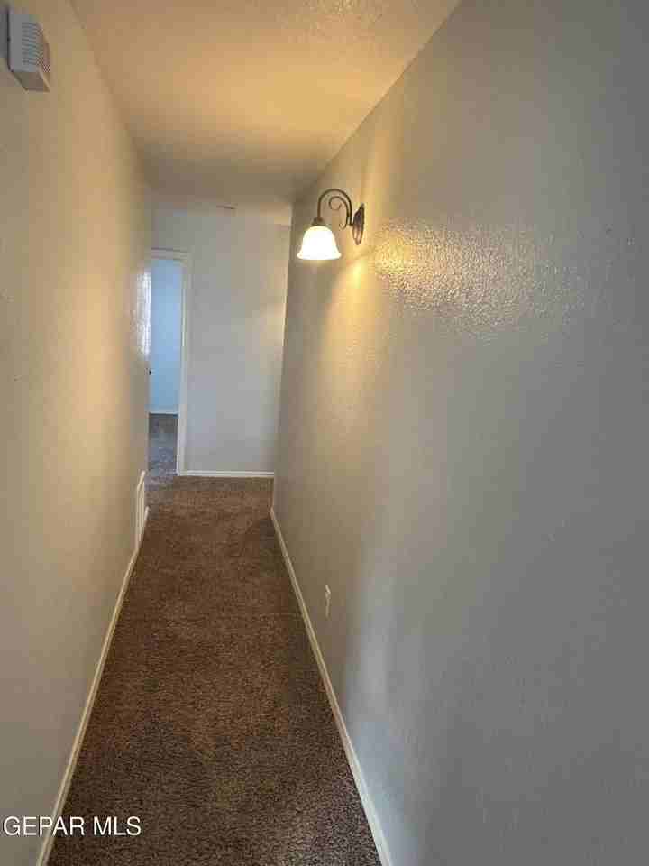 12965 Beto Portugal Ln - Photo 7 of 19