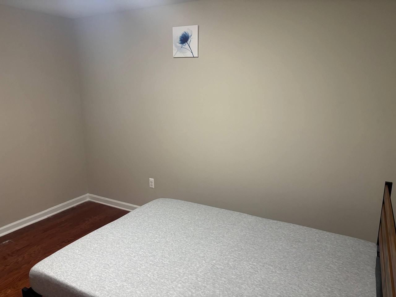 Nast Dr - Photo 5 of 12