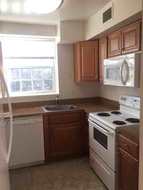 3861 Newark St Nw - Photo 4 of 8