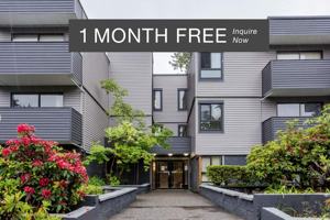featured image of 1010 King Albert Ave