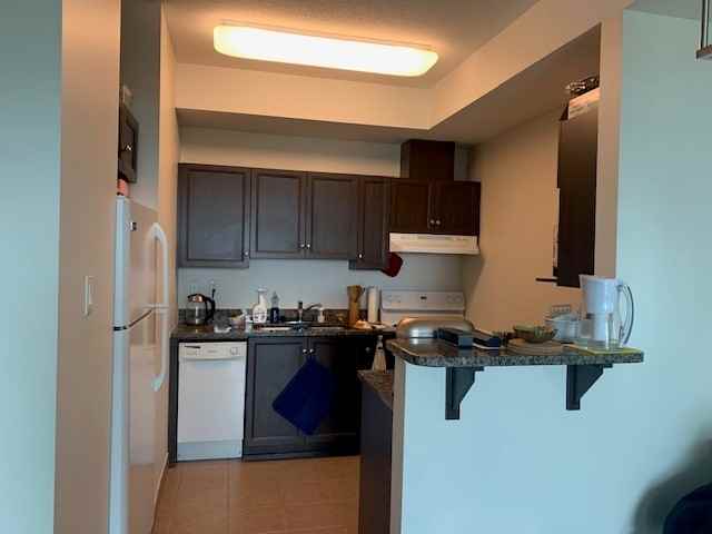 100 Roger-Guindon Ave - Photo 6 of 16