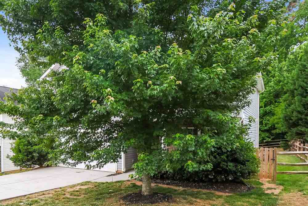 4419 Austin Dekota Dr - Photo 4 of 17
