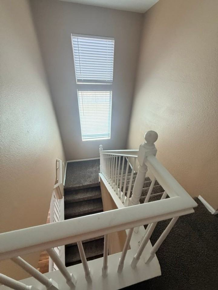 5172 Dillingham Dr - Photo 5 of 19