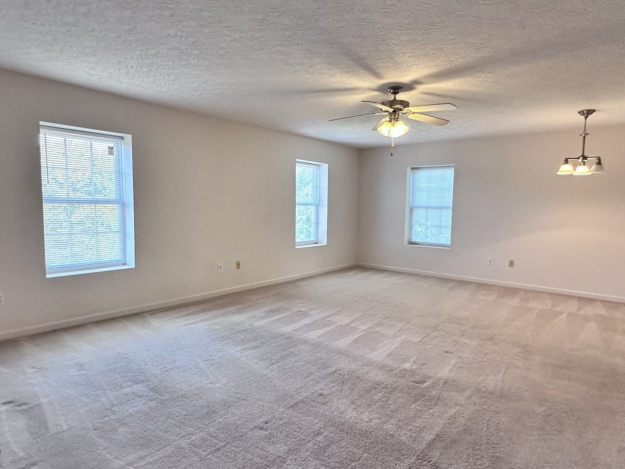 38 Rosette Ln #1 - Photo 6 of 24