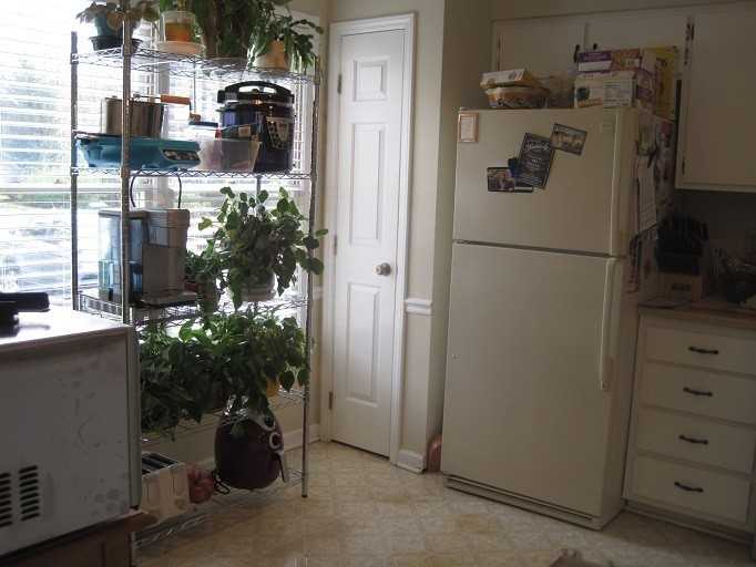 1583 Laureldale Dr - Photo 3 of 10