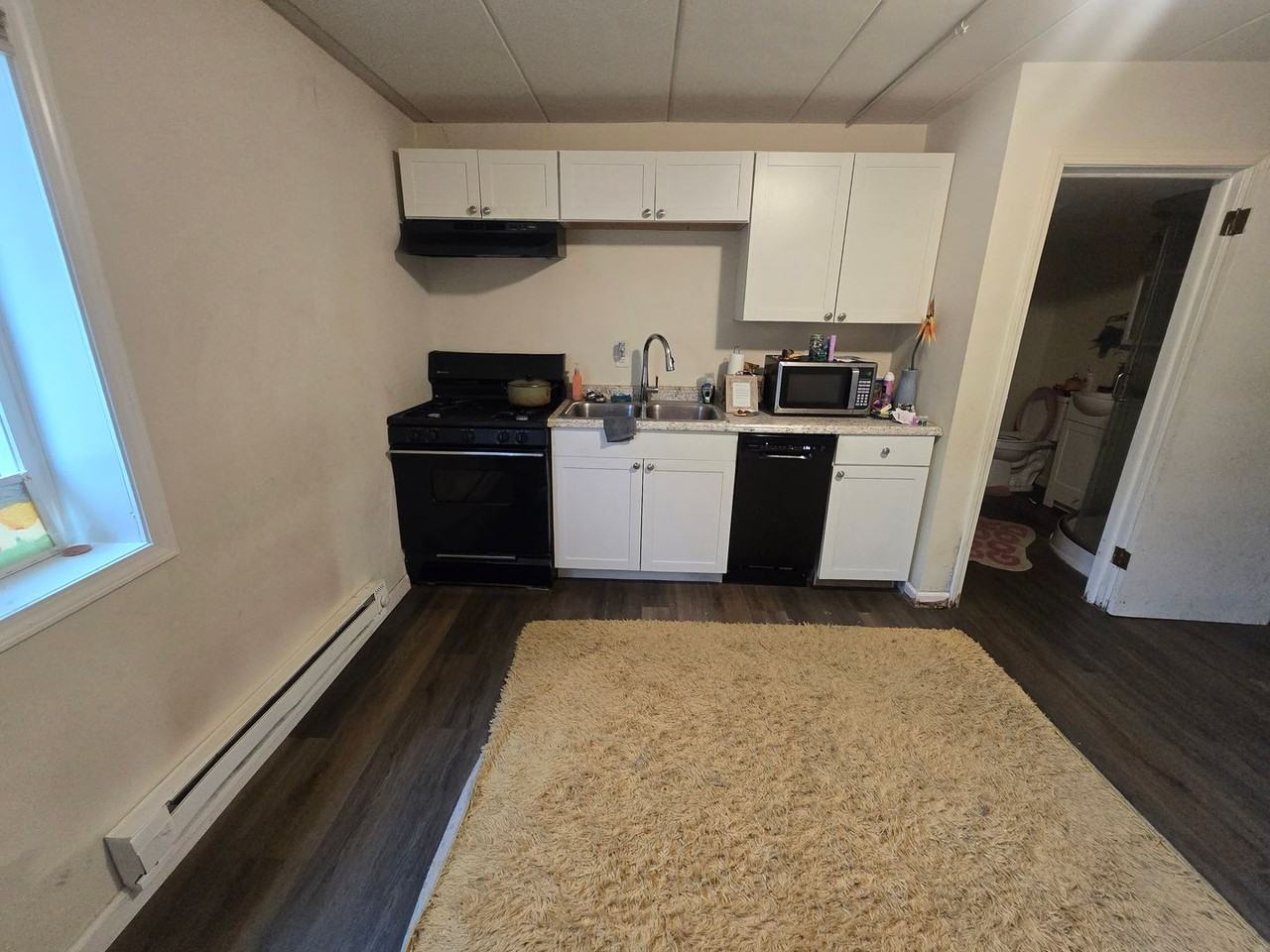 505 Springfield - Photo 6 of 24