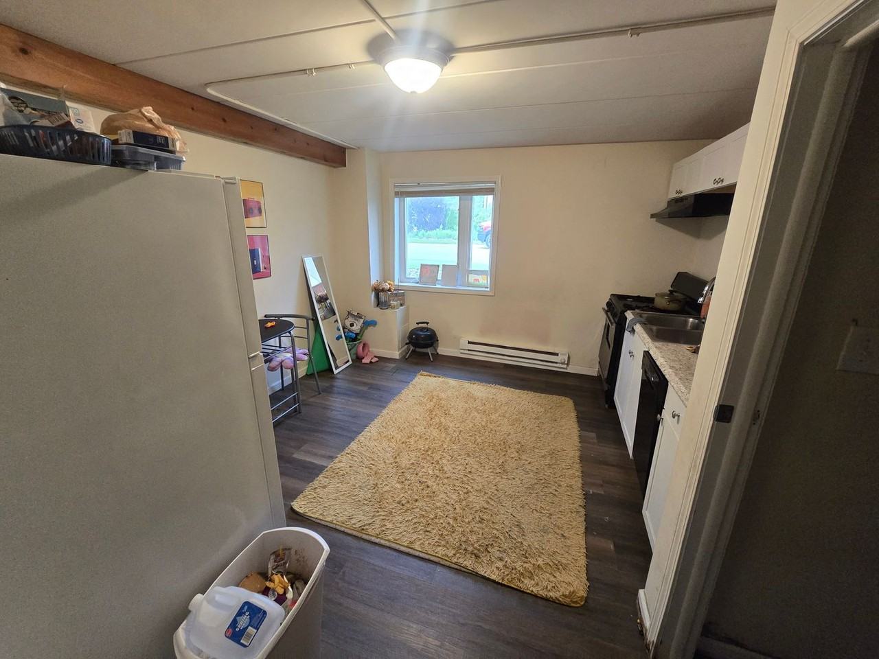 505 Springfield - Photo 7 of 24